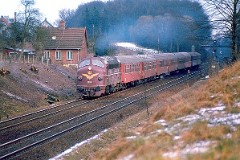 DSB MY 1138 with passenger train heading for Kolding.  Photographed in Hannerup Skov, Fredericia, March 1975.   The MY class was built by Nydquist & Holm AB (NOHAB) in Sweden licensed by General Motors. Danish subsuppliers (Frichs and Thrige) took part in the production. A1A-A1A. Dieselelectric. MY 1101 - 1105 was supplied with a General Motor 16-cyl. diesel engine performing 1.700 hp. The diesel engine in MY 1106 - 1144 was performing 1.950 hp - MY 1145 - 1159 1700 hp. Max speed 133 km/h - 83 mph. Length 18 900 mm. Weight 101,6 metric tonnes. MY 1138 was put in service in 1958. It was withdrawn from service with DSB in 1997. In 1999 it was sold to Euro-Track.